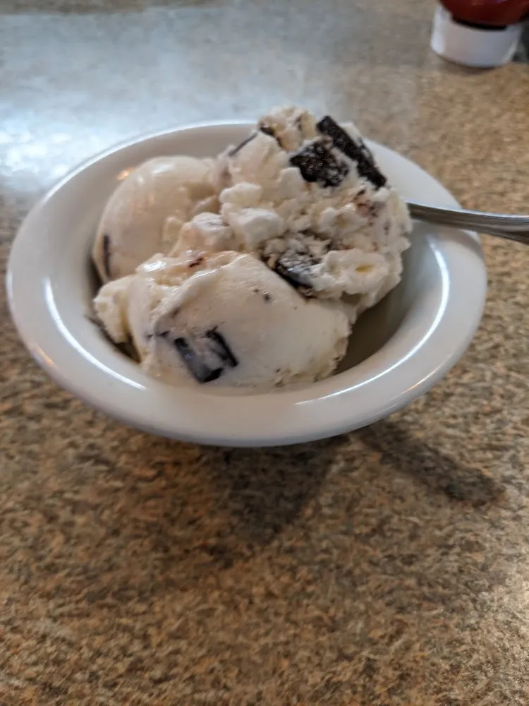 Chocolate Chip Ice Cream